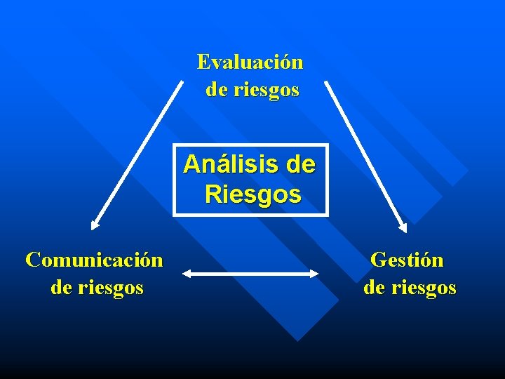 Evaluación de riesgos Análisis de Riesgos Comunicación de riesgos Gestión de riesgos 