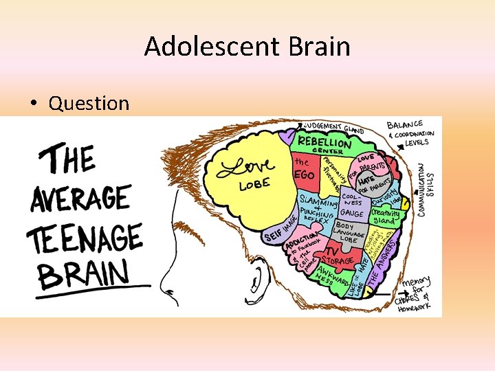 Adolescent Brain • Question • Social Acceptance 