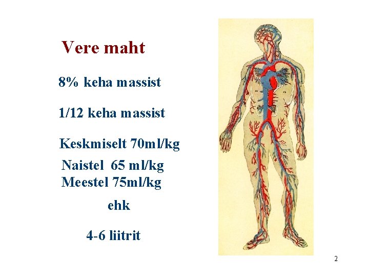 Vere maht 8% keha massist 1/12 keha massist Keskmiselt 70 ml/kg Naistel 65 ml/kg