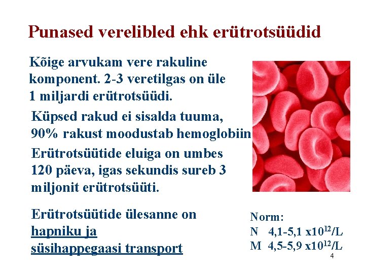 Punased verelibled ehk erütrotsüüdid Kõige arvukam vere rakuline komponent. 2 -3 veretilgas on üle