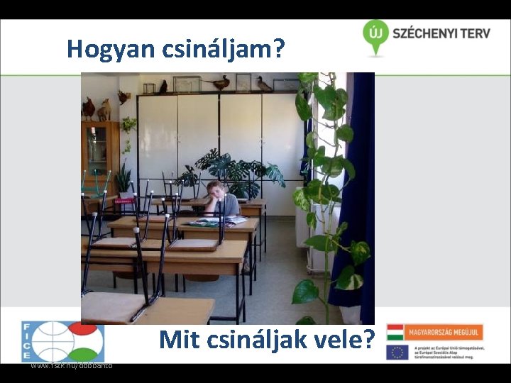 Hogyan csináljam? Mit csináljak vele? www. fszk. hu/dobbanto 