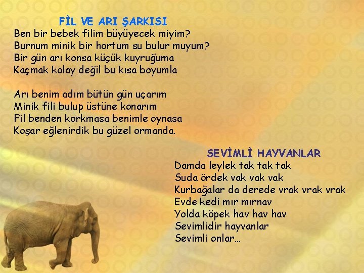 FİL VE ARI ŞARKISI Ben bir bebek filim büyüyecek miyim? Burnum minik bir hortum