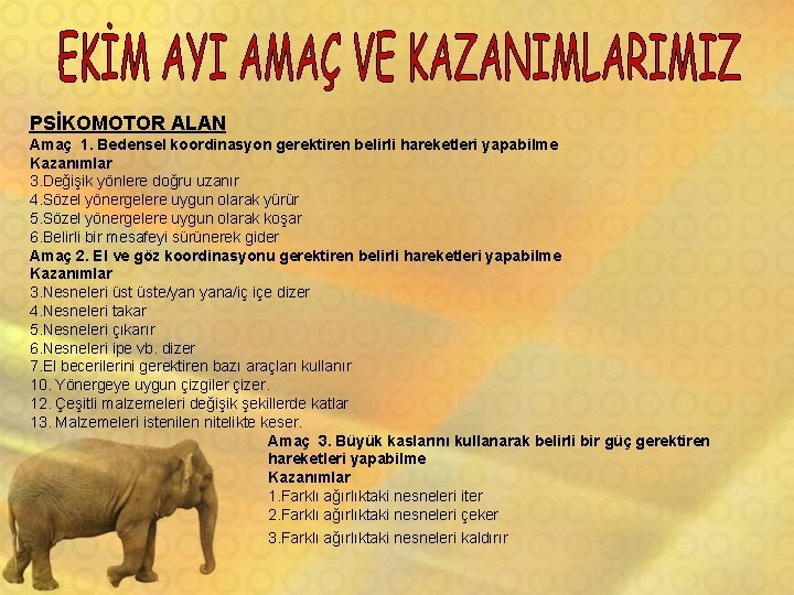 PSİKOMOTOR ALAN Amaç 1. Bedensel koordinasyon gerektiren belirli hareketleri yapabilme Kazanımlar 3. Değişik yönlere