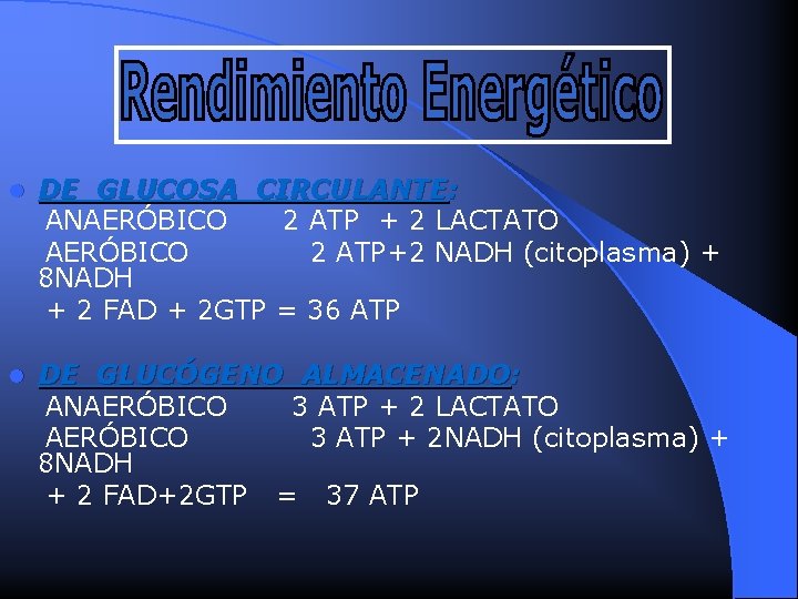 l DE GLUCOSA CIRCULANTE: ANAERÓBICO 2 ATP + 2 LACTATO AERÓBICO 2 ATP+2 NADH