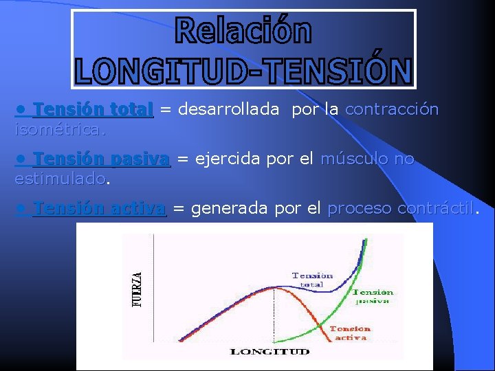  • Tensión total = desarrollada por la contracción isométrica. • Tensión pasiva =