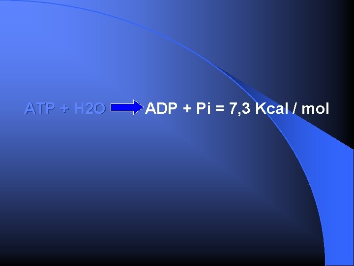 ATP + H 2 O ADP + Pi = 7, 3 Kcal / mol
