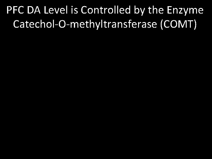 PFC DA Level is Controlled by the Enzyme Catechol-O-methyltransferase (COMT) Val/Val COMT Met/Met COMT PFC DA Level is Controlled by the Enzyme Catechol-O-methyltransferase (COMT) Val/Val COMT Met/Met COMT