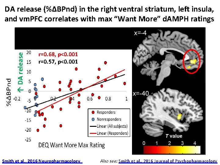 ↑ DA release (%ΔBPnd) in the right ventral striatum, left insula, and vm. PFC ↑ DA release (%ΔBPnd) in the right ventral striatum, left insula, and vm. PFC