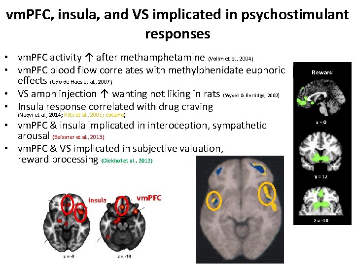 vm. PFC, insula, and VS implicated in psychostimulant responses • vm. PFC activity ↑ vm. PFC, insula, and VS implicated in psychostimulant responses • vm. PFC activity ↑
