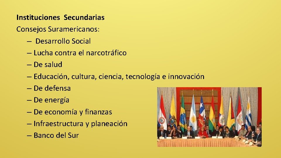 Instituciones Secundarias Consejos Suramericanos: – Desarrollo Social – Lucha contra el narcotráfico – De