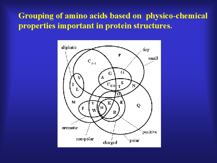 Grouping of amino acids based on physico-chemical properties important in protein structures. 