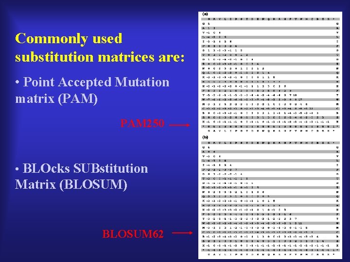 Commonly used substitution matrices are: • Point Accepted Mutation matrix (PAM) PAM 250 •