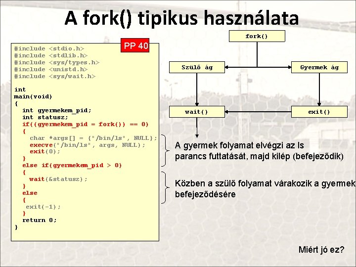 A fork() tipikus használata fork() #include #include <stdio. h> <stdlib. h> <sys/types. h> <unistd.