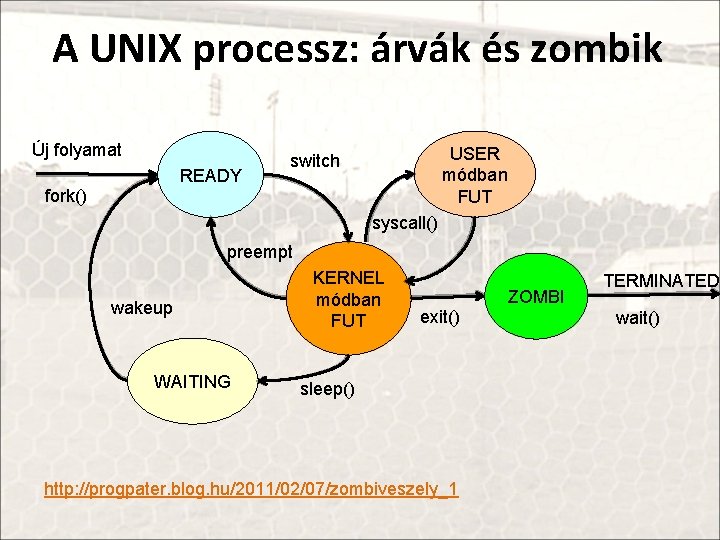 A UNIX processz: árvák és zombik Új folyamat READY USER módban FUT switch fork()