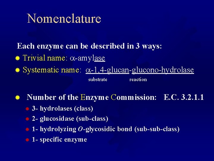 Nomenclature Each enzyme can be described in 3 ways: ® Trivial name: -amylase ®