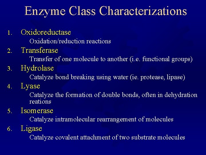 Enzyme Class Characterizations 1. Oxidoreductase Oxidation/reduction reactions 2. Transferase Transfer of one molecule to