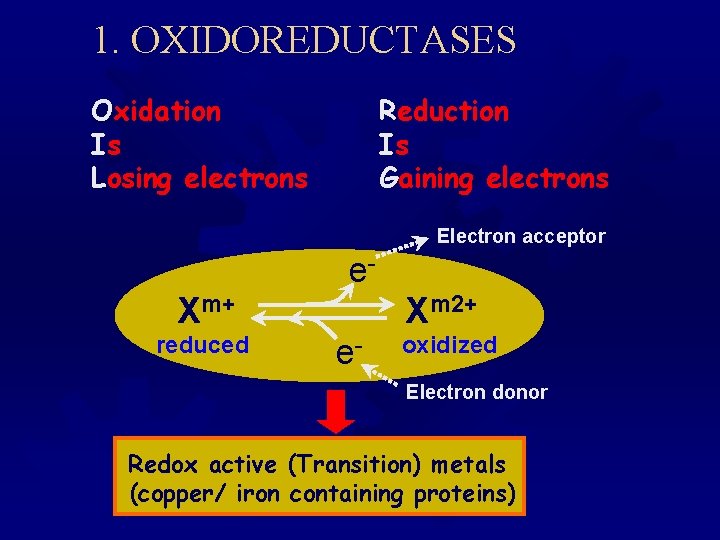 1. OXIDOREDUCTASES Oxidation Is Losing electrons Reduction Is Gaining electrons Electron acceptor e. Xm+