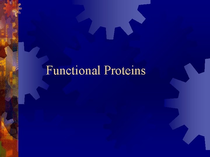 Functional Proteins Functional Proteins