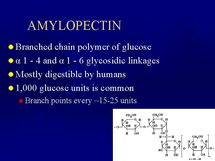 AMYLOPECTIN ® Branched chain polymer of glucose ® α 1 - 4 and α