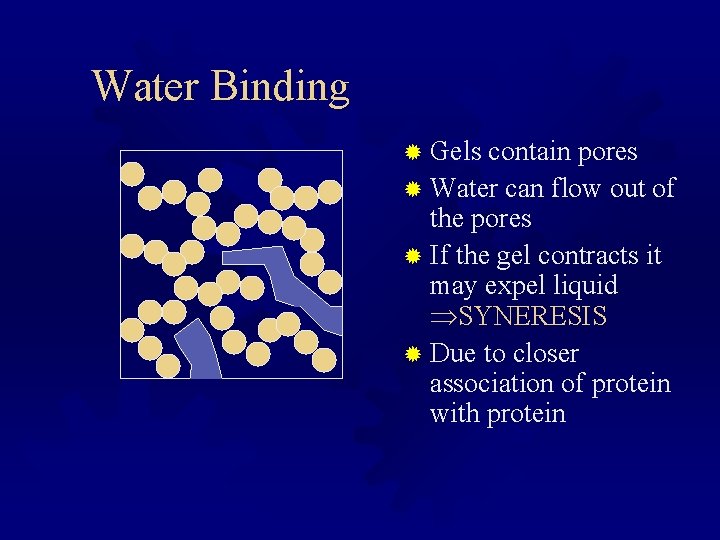 Water Binding ® Gels contain pores ® Water can flow out of the pores