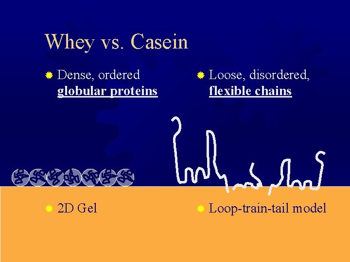 Whey vs. Casein ® Dense, ordered globular proteins ® 2 D Gel ® Loose,