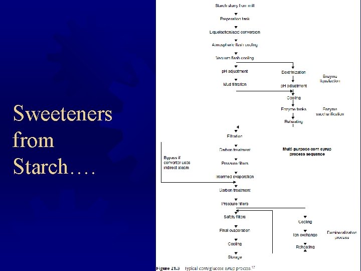 Sweeteners from Starch…. 