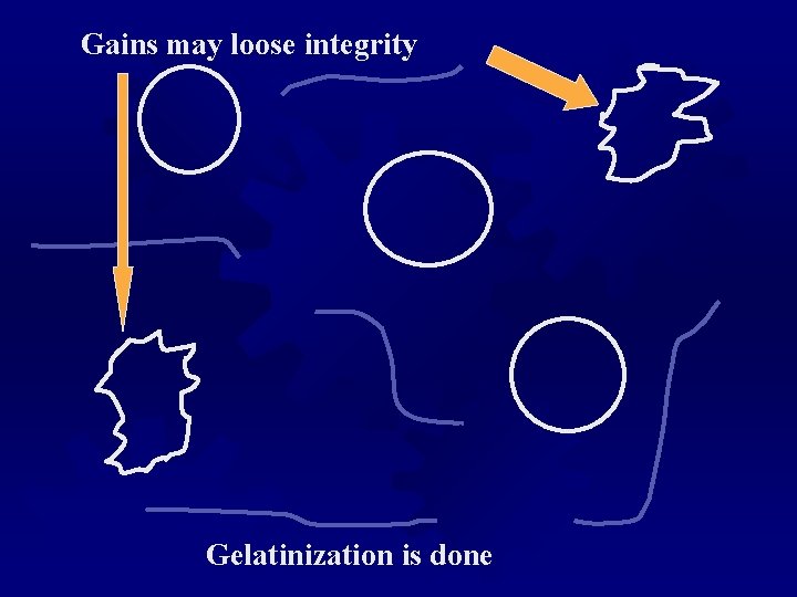 Gains may loose integrity Gelatinization is done 