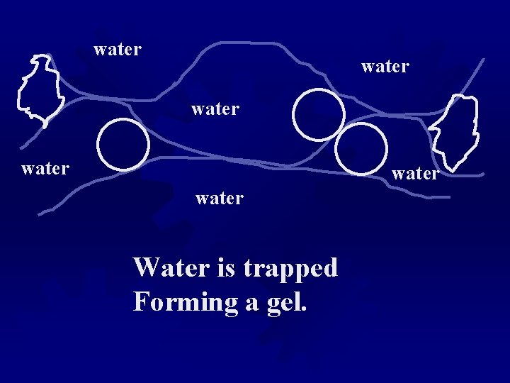 water water Water is trapped Forming a gel. 