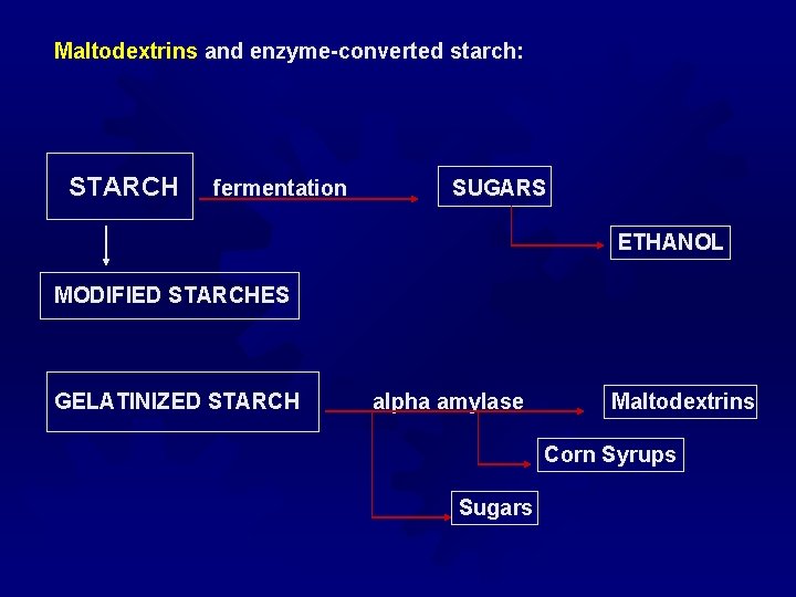 Maltodextrins and enzyme-converted starch: STARCH fermentation SUGARS ETHANOL MODIFIED STARCHES GELATINIZED STARCH alpha amylase