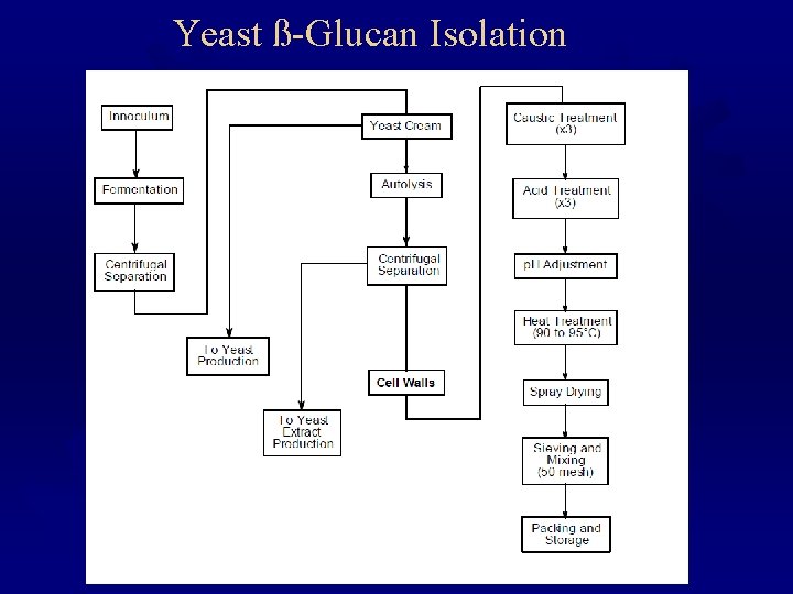 Yeast ß-Glucan Isolation 