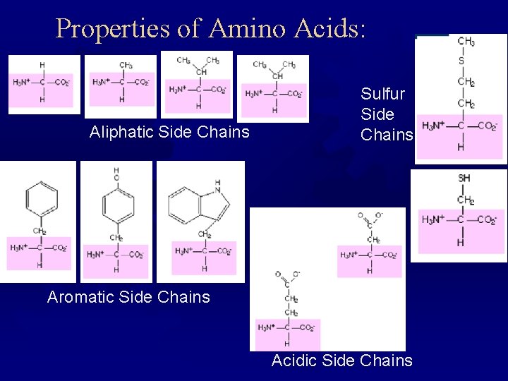 Properties of Amino Acids: Aliphatic Side Chains Sulfur Side Chains Aromatic Side Chains Acidic Properties of Amino Acids: Aliphatic Side Chains Sulfur Side Chains Aromatic Side Chains Acidic