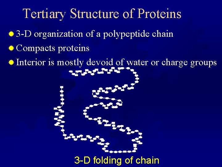 Tertiary Structure of Proteins ® 3 -D organization of a polypeptide chain ® Compacts