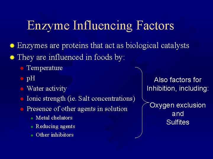 Enzyme Influencing Factors ® Enzymes are proteins that act as biological catalysts ® They