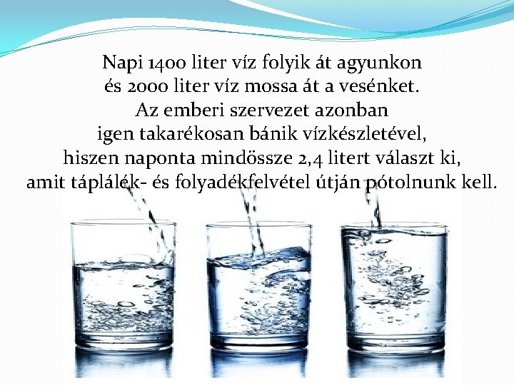 Napi 1400 liter víz folyik át agyunkon és 2000 liter víz mossa át a