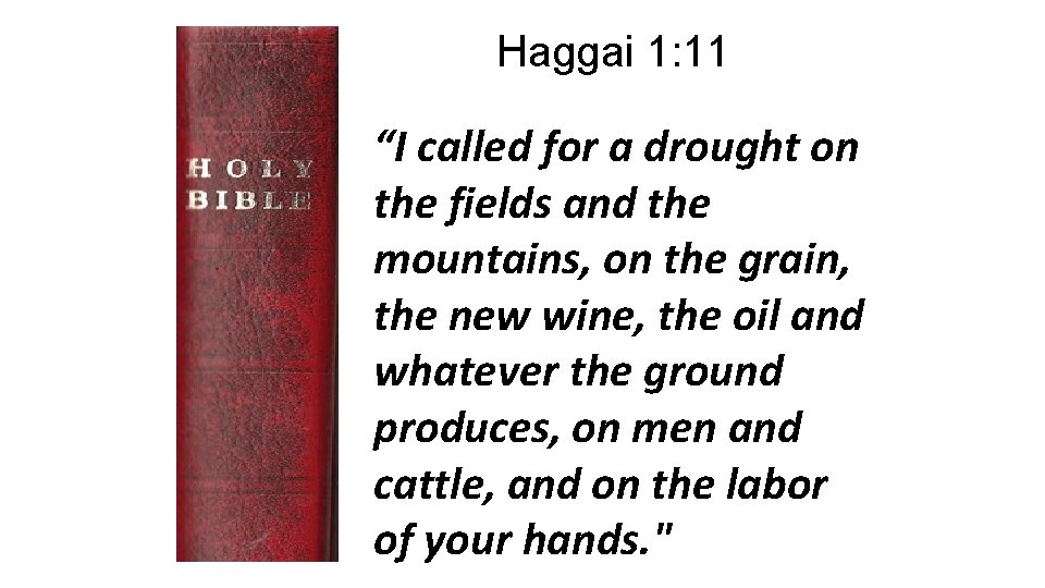 Haggai 1: 11 “I called for a drought on the fields and the mountains,