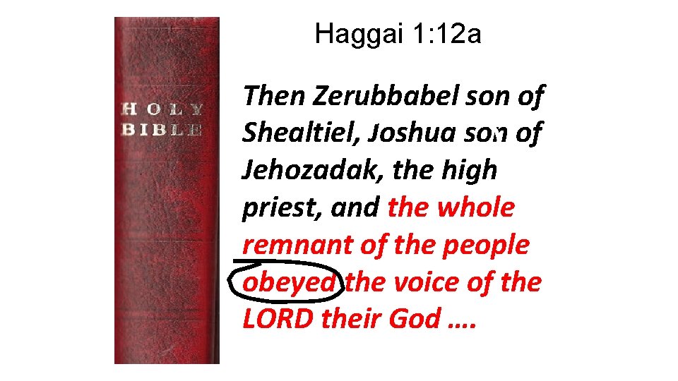 Haggai 1: 12 a Then Zerubbabel son of Shealtiel, Joshua son of Jehozadak, the