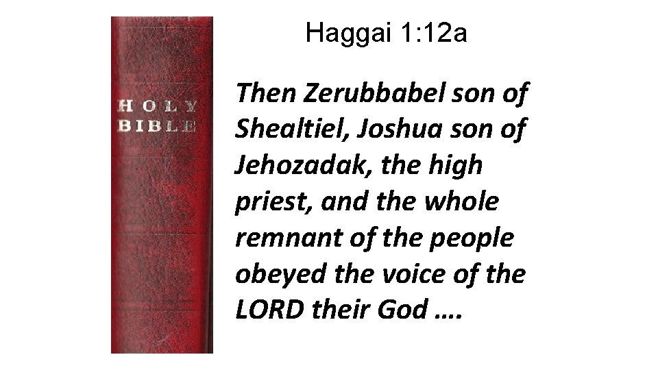 Haggai 1: 12 a Then Zerubbabel son of Shealtiel, Joshua son of Jehozadak, the