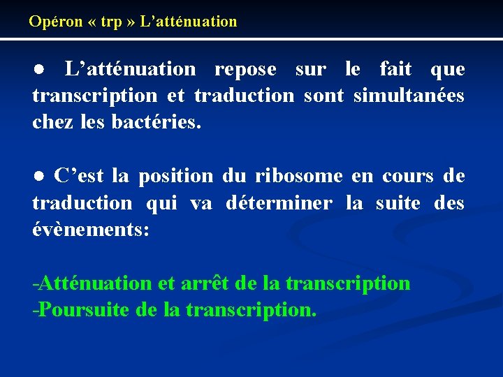 Opéron « trp » L’atténuation ● L’atténuation repose sur le fait que transcription et