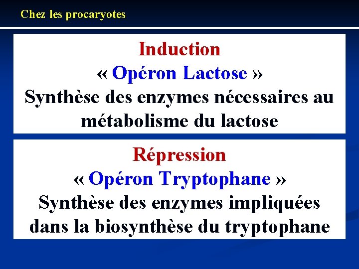 Chez les procaryotes Induction « Opéron Lactose » Synthèse des enzymes nécessaires au métabolisme