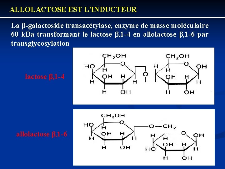 ALLOLACTOSE EST L'INDUCTEUR La β galactoside transacétylase, enzyme de masse moléculaire 60 k. Da