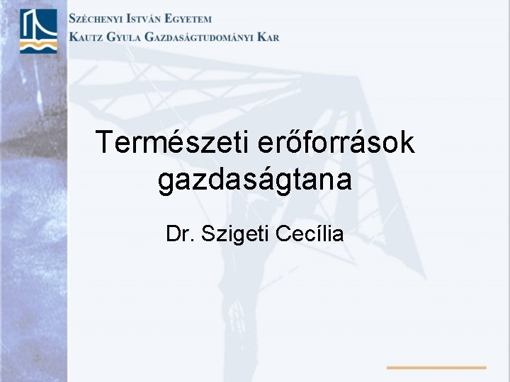 Természeti erőforrások gazdaságtana Dr. Szigeti Cecília 