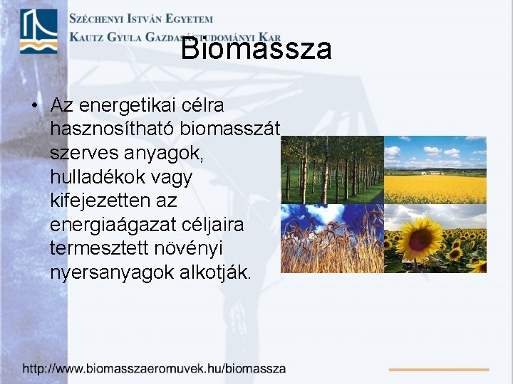 Biomassza • Az energetikai célra hasznosítható biomasszát szerves anyagok, hulladékok vagy kifejezetten az energiaágazat