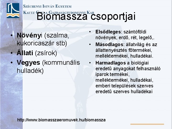 Biomassza csoportjai • Növényi (szalma, kukoricaszár stb) • Állati (zsírok) • Vegyes (kommunális hulladék)