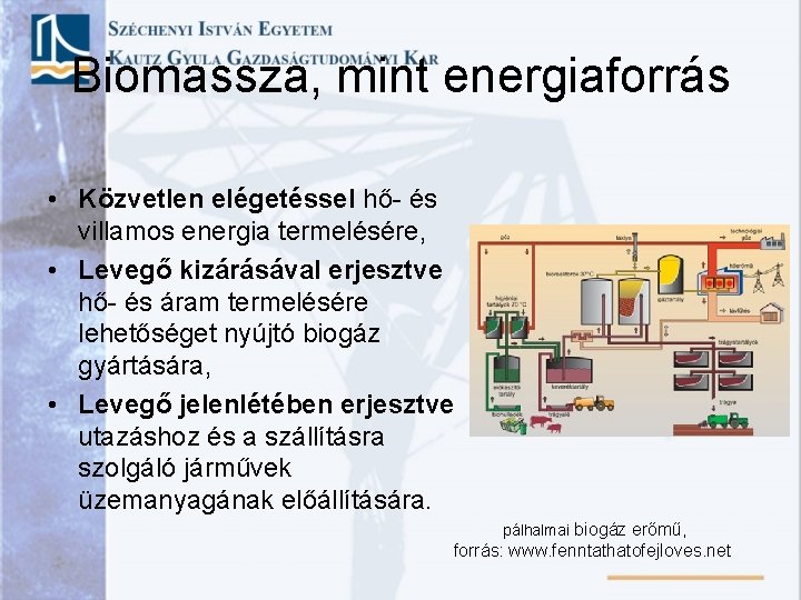 Biomassza, mint energiaforrás • Közvetlen elégetéssel hő- és villamos energia termelésére, • Levegő kizárásával Biomassza, mint energiaforrás • Közvetlen elégetéssel hő- és villamos energia termelésére, • Levegő kizárásával
