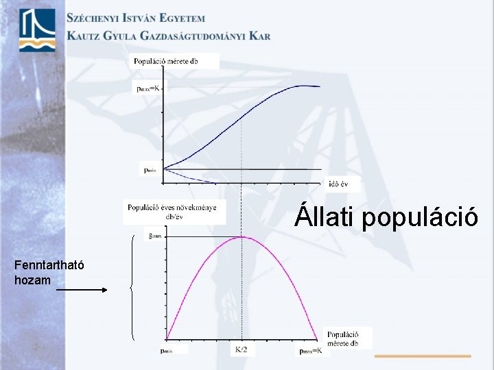 Állati populáció Fenntartható hozam 