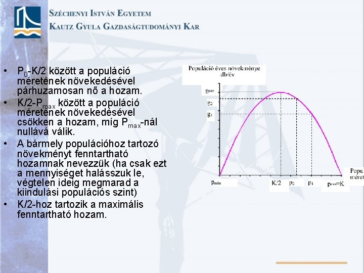  • P 0 -K/2 között a populáció méretének növekedésével párhuzamosan nő a hozam.