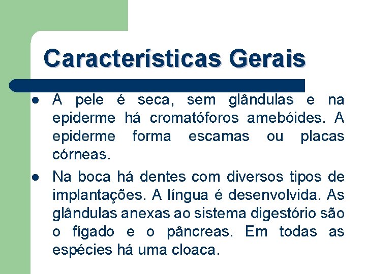 Características Gerais l l A pele é seca, sem glândulas e na epiderme há