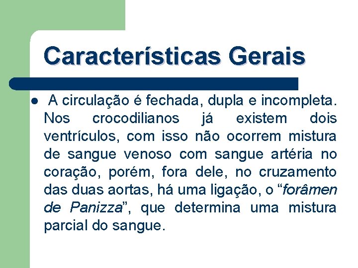 Características Gerais l A circulação é fechada, dupla e incompleta. Nos crocodilianos já existem