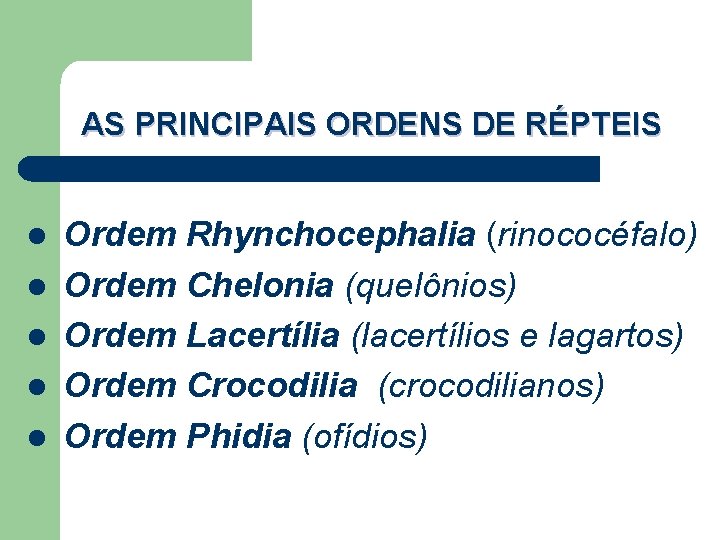 AS PRINCIPAIS ORDENS DE RÉPTEIS l l l Ordem Rhynchocephalia (rinococéfalo) Ordem Chelonia (quelônios)