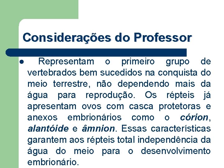 Considerações do Professor l Representam o primeiro grupo de vertebrados bem sucedidos na conquista